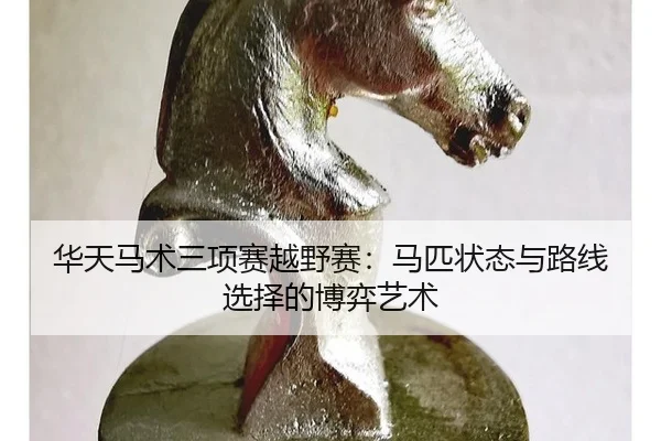 华天马术三项赛越野赛:马匹状态与路线选择的博弈艺术