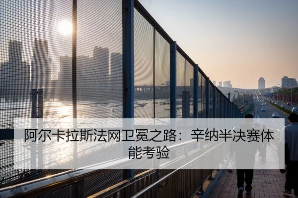 a-er-ka-la-si-fa-wang-wei-mian-zhi-lu-xin-na-ban-jue-sai-ti-neng-kao-yan-2-439.jpg
