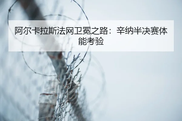 a-er-ka-la-si-fa-wang-wei-mian-zhi-lu-xin-na-ban-jue-sai-ti-neng-kao-yan-3-187.jpg