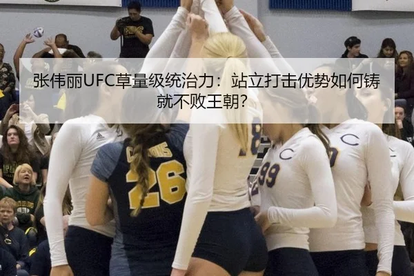 张伟丽UFC草量级统治力：站立打击优势如何铸就不败王朝？