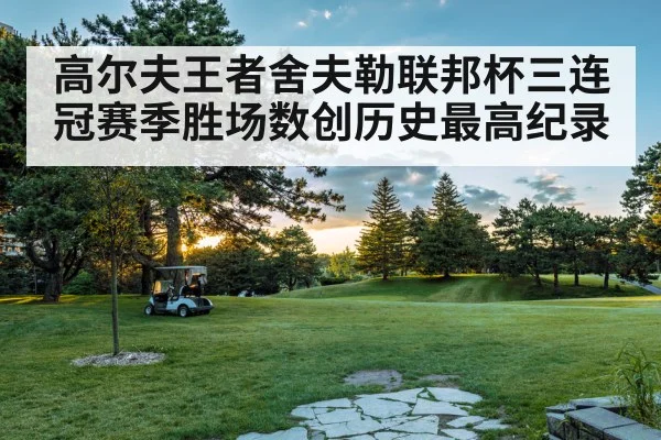 高尔夫王者舍夫勒联邦杯三连冠赛季胜场数创历史最高纪录