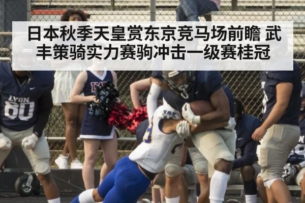 日本秋季天皇赏东京竞马场前瞻 武丰策骑实力赛驹冲击一级赛桂冠